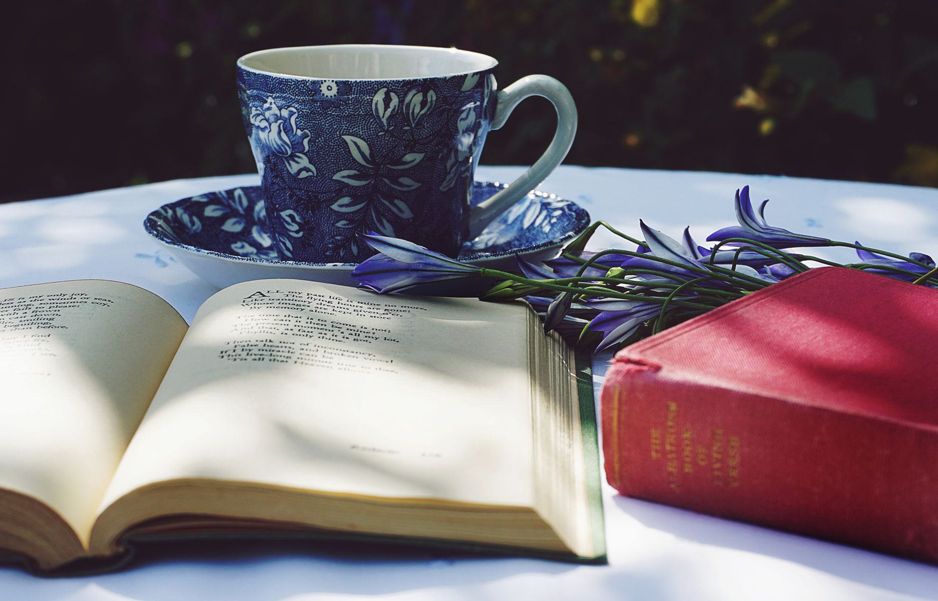 a serene sunrise over a garden with a small altar holding a prayer book, crystals, and a cup of herbal tea, suggesting a peaceful morning ritual for pregnancy safety