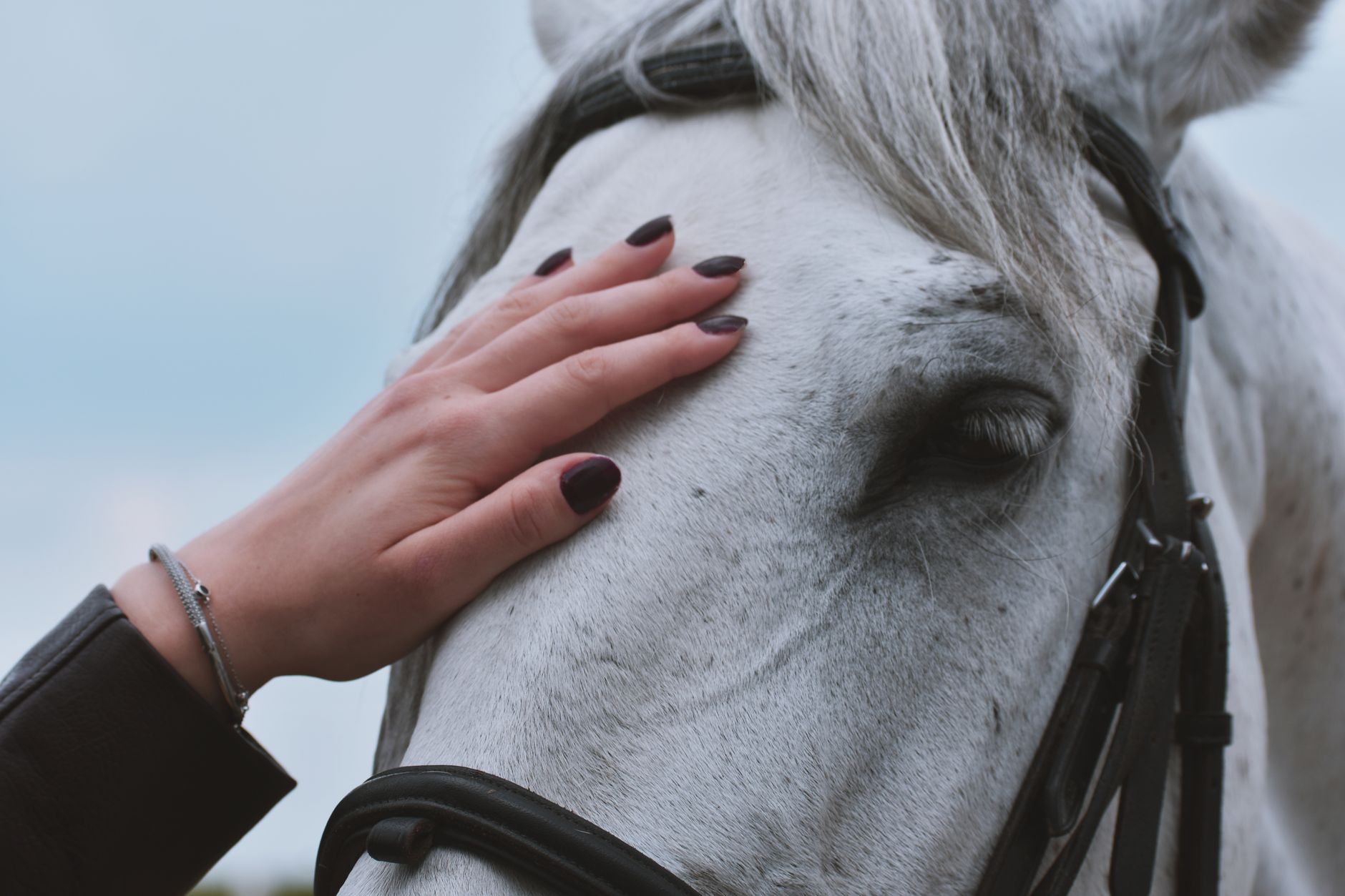 Is Riding Stables Safe During Pregnancy? What to Know