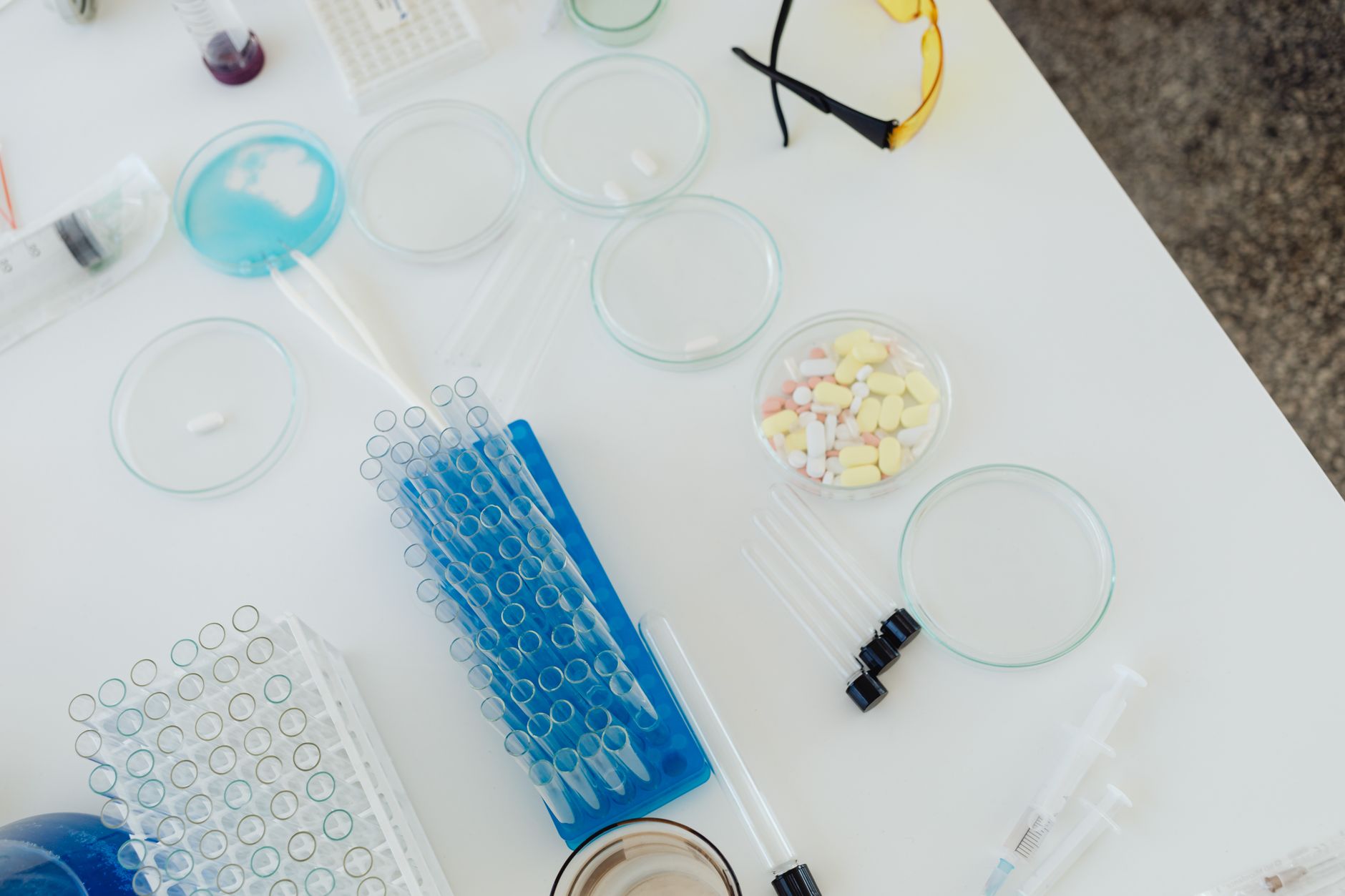 a laboratory bench with petri dishes, a vial of tetracycline powder, and a pregnancy test, bright daylight, clean composition