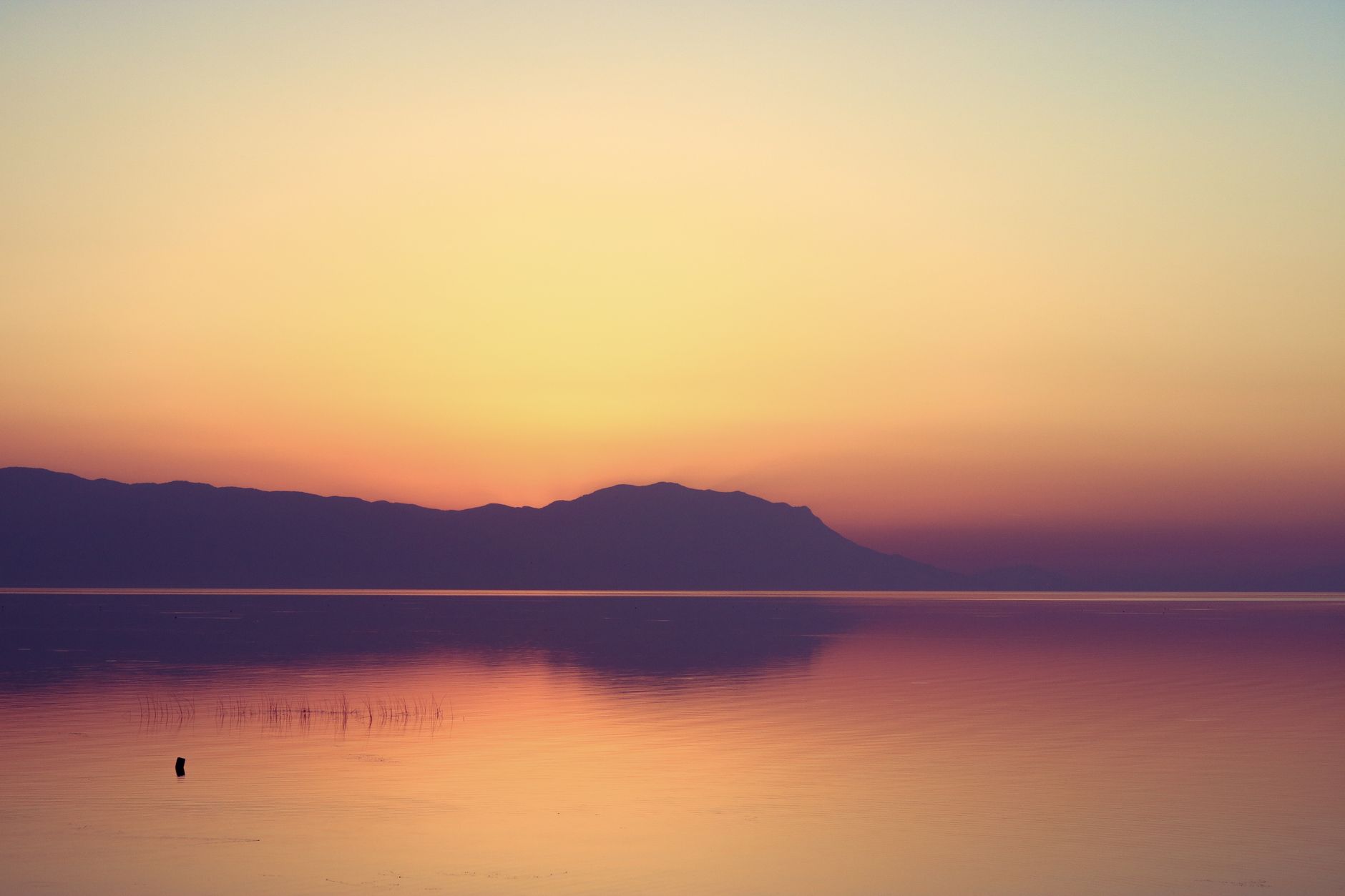 Soft pastel illustration of a sunrise over a calm lake, with gentle waves and a pregnant silhouette breathing in sync