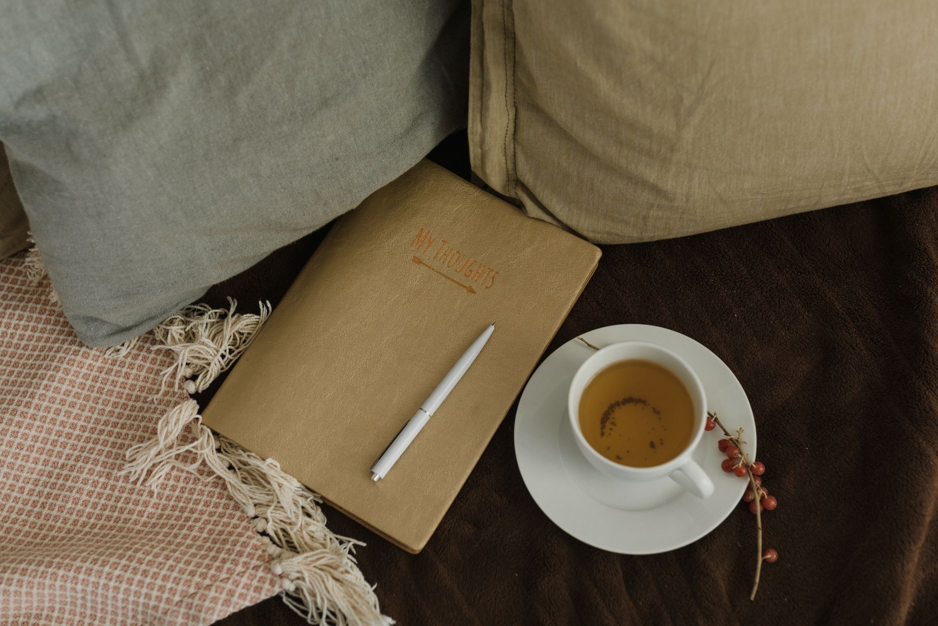 A cozy nest of pregnancy essentials: a supportive pillow, a book, a cup of tea, and a journal.