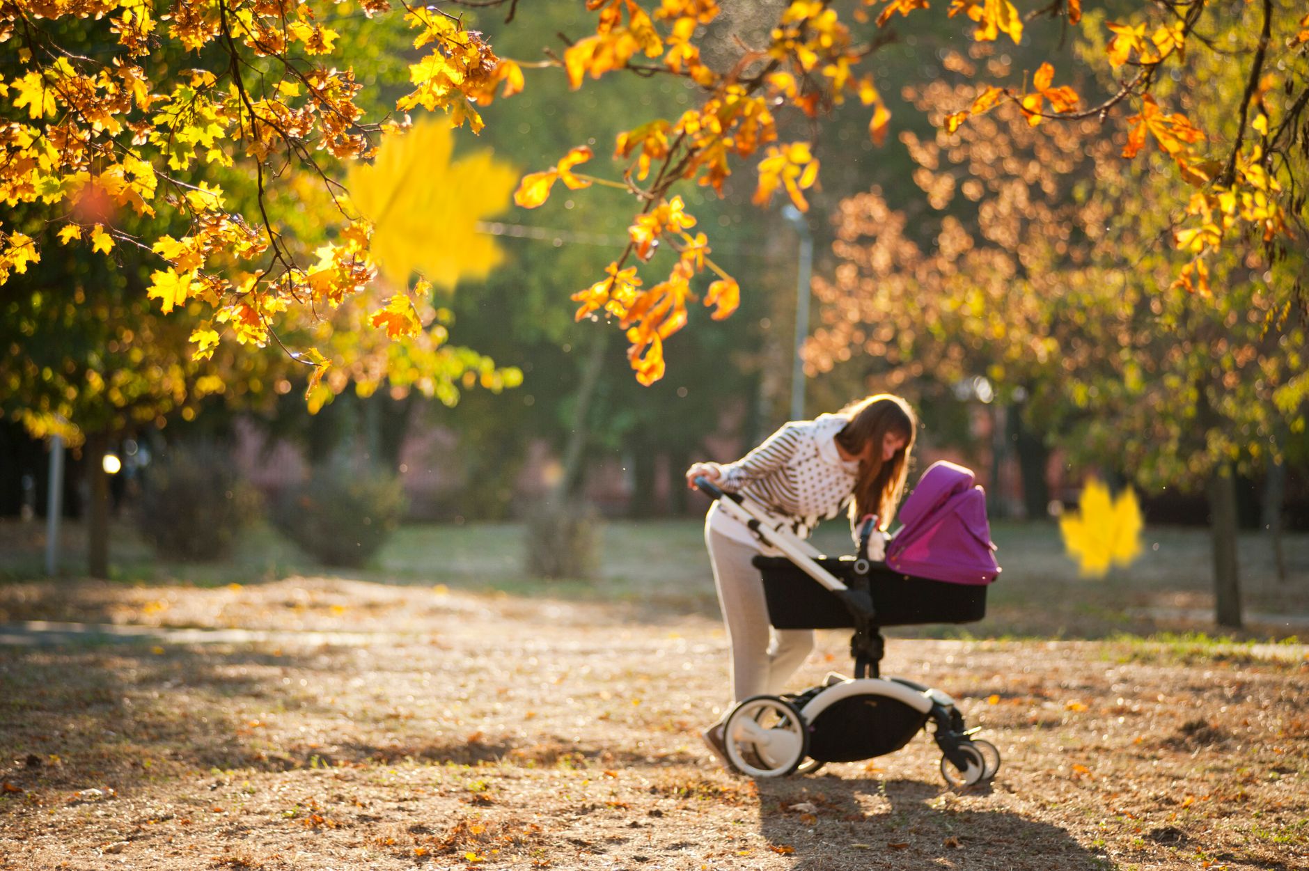 Sunlit park path with a stroller, mother walking, gentle morning mist, realistic detail
