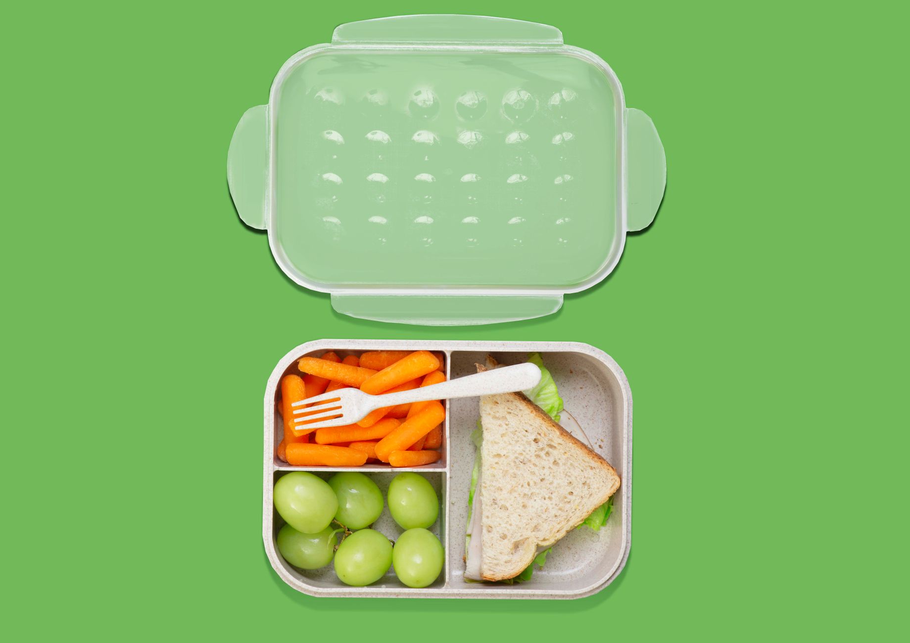 A vibrant, healthy lunch packed in a stainless steel bento box for a child, featuring sliced apples, cucumber sticks, cheese, and a sandwich, accompanied by a matching stainless steel water bottle ready for school.
