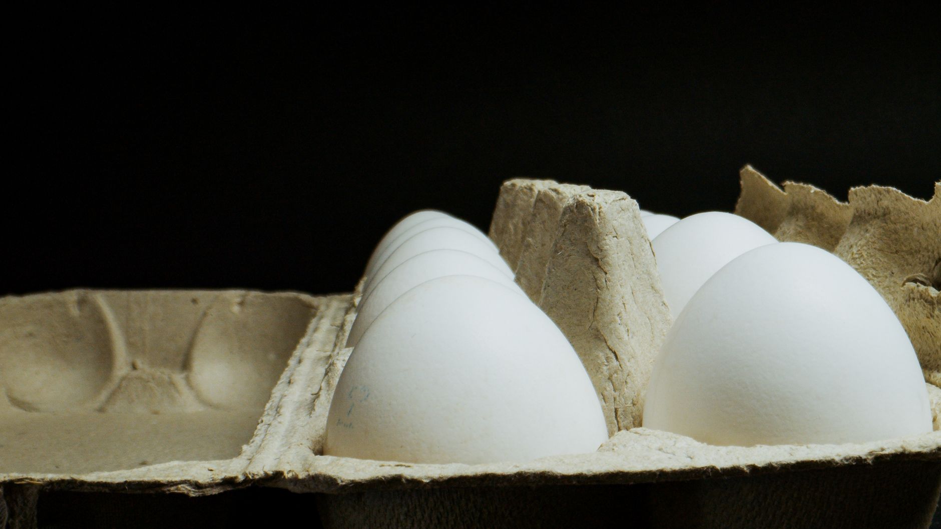 Salmonella During Pregnancy: Risks, Symptoms, and Safe Prevention