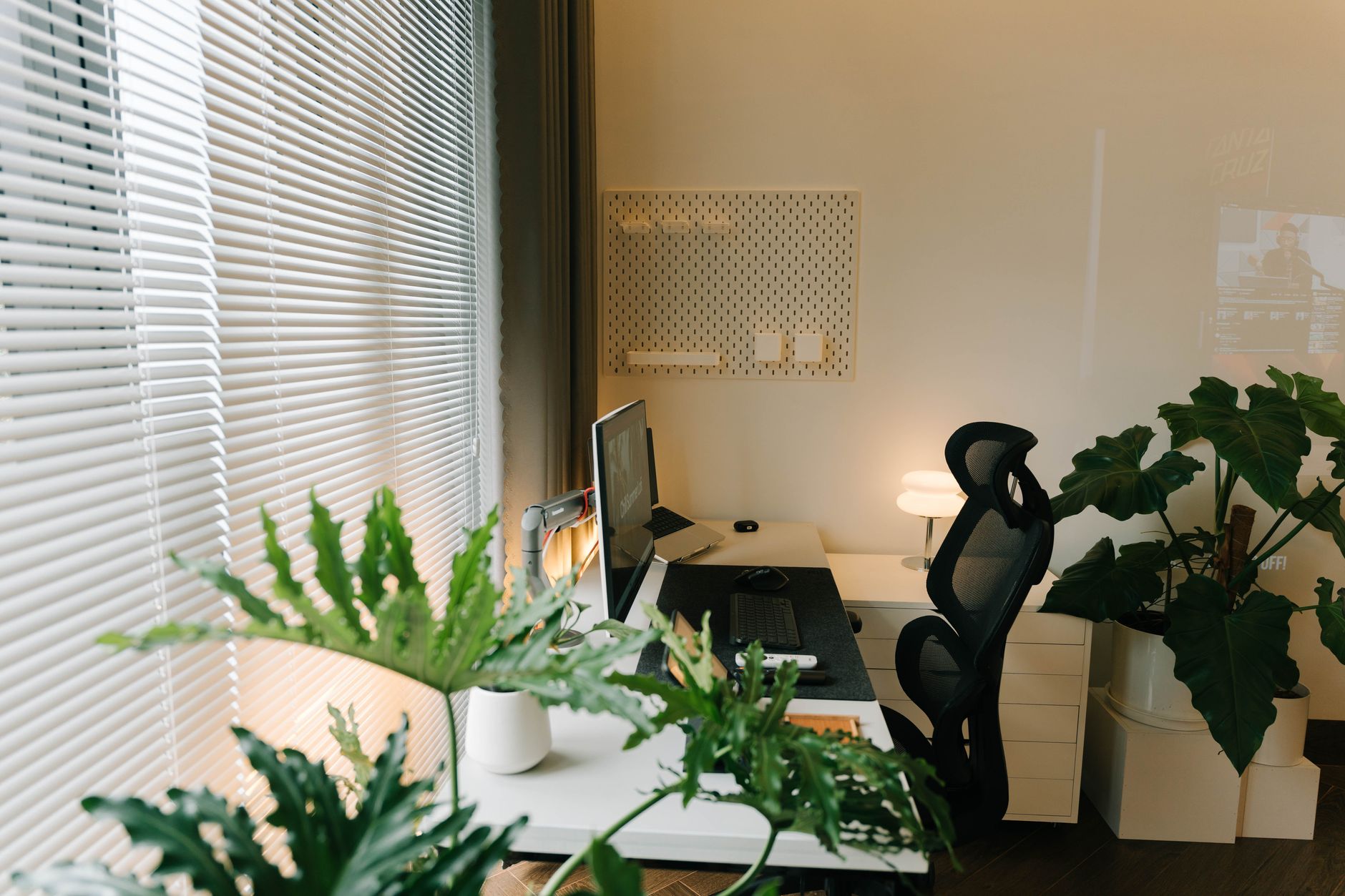 A cozy home office with a wooden desk, green plants, and a laptop