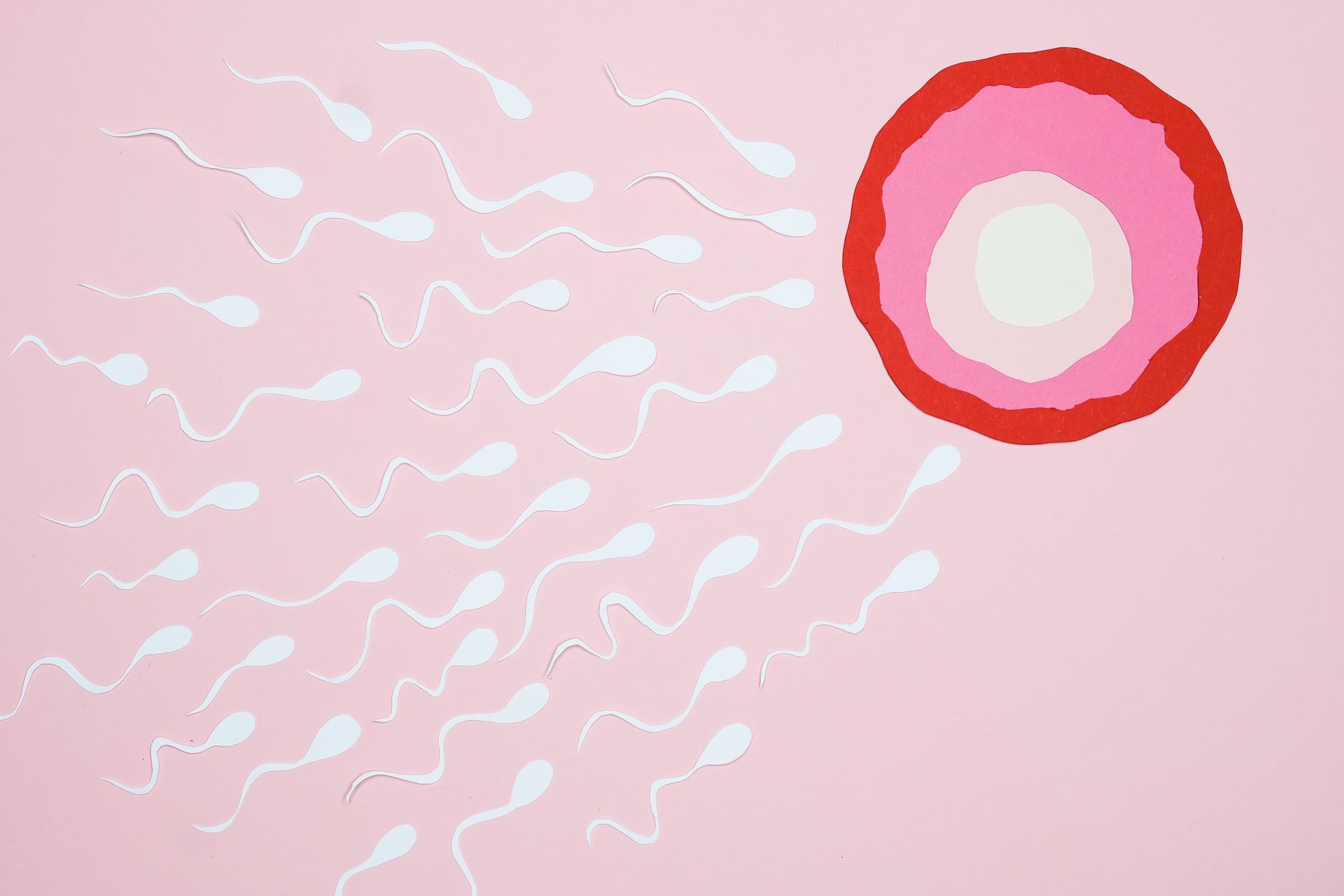 A detailed infographic showing a cost breakdown of sperm donor services, including donor fees, shipping, storage, and fertility treatments, with state-by-state comparisons.