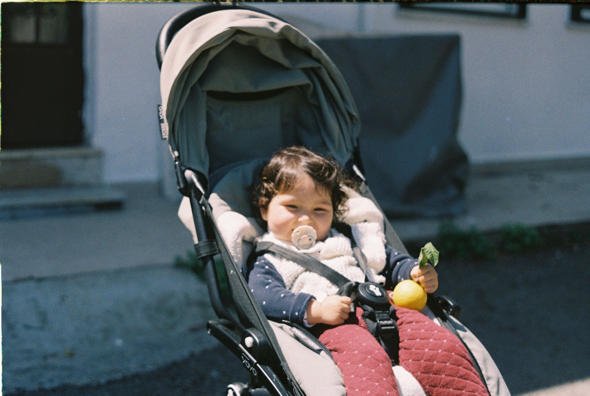 Family with jogging stroller in park