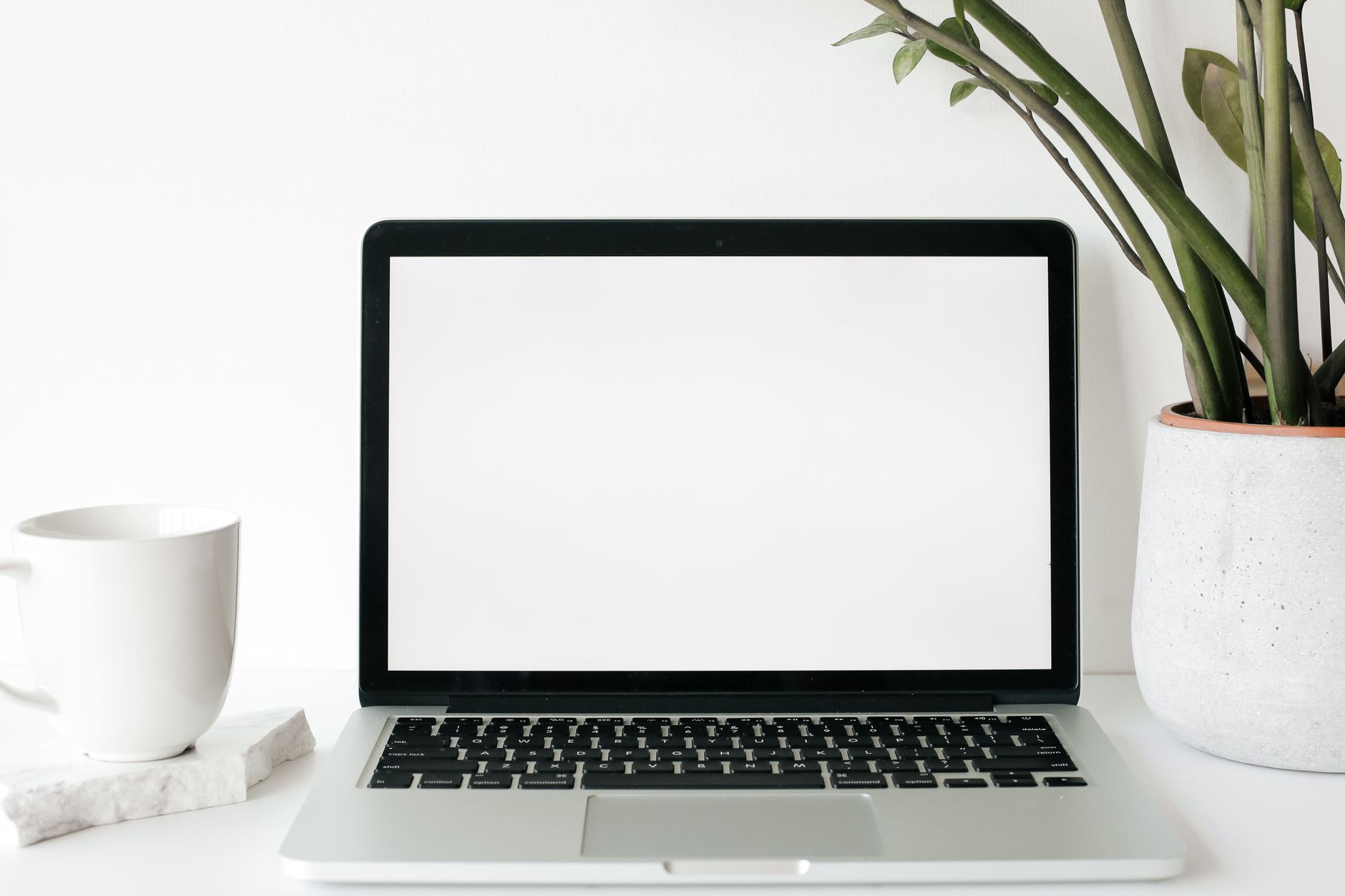 Online trust setup on a laptop