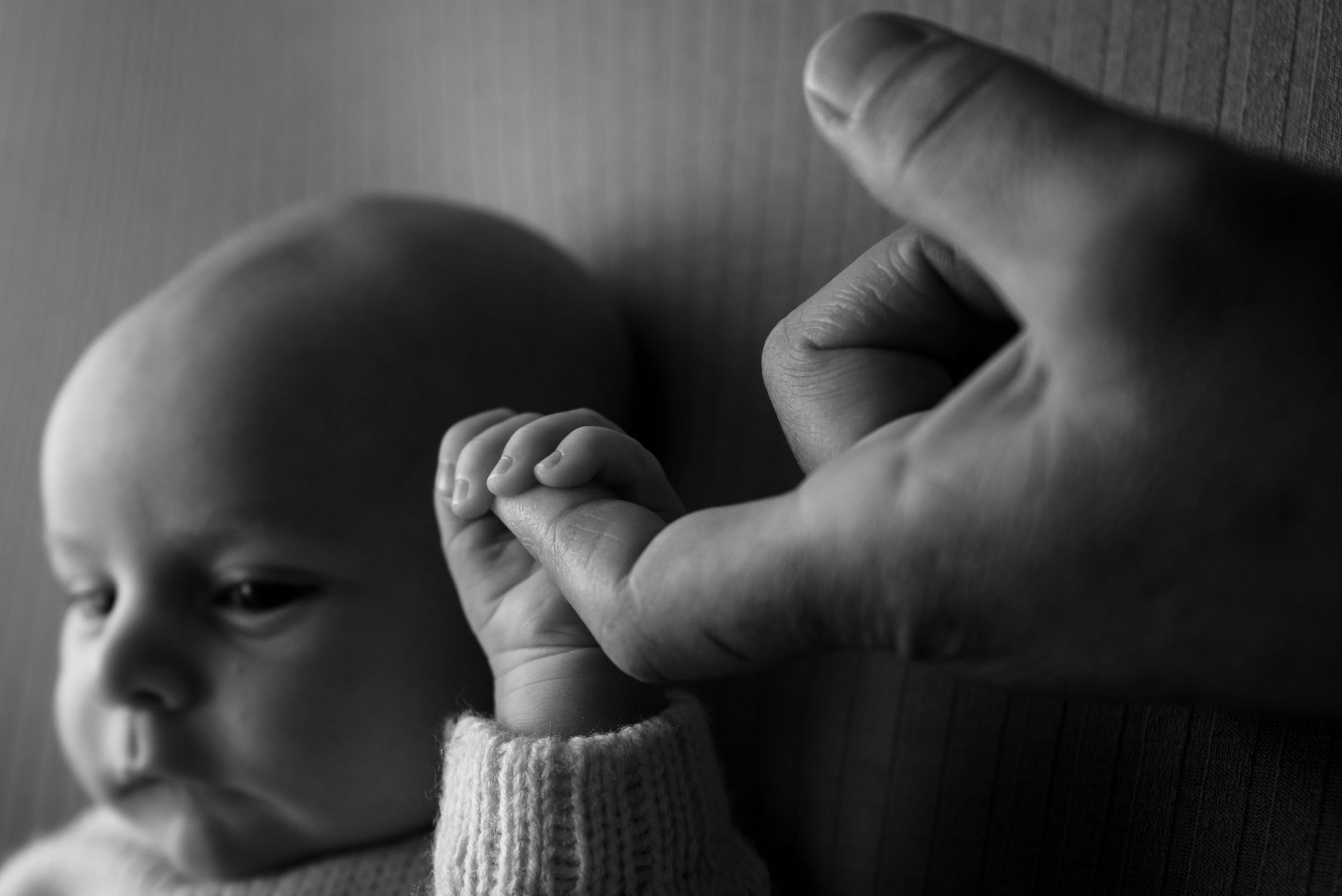 Close-up of a baby's hand gently grasping a finger, symbolizing connection and showing developing fingernails, soft focus background