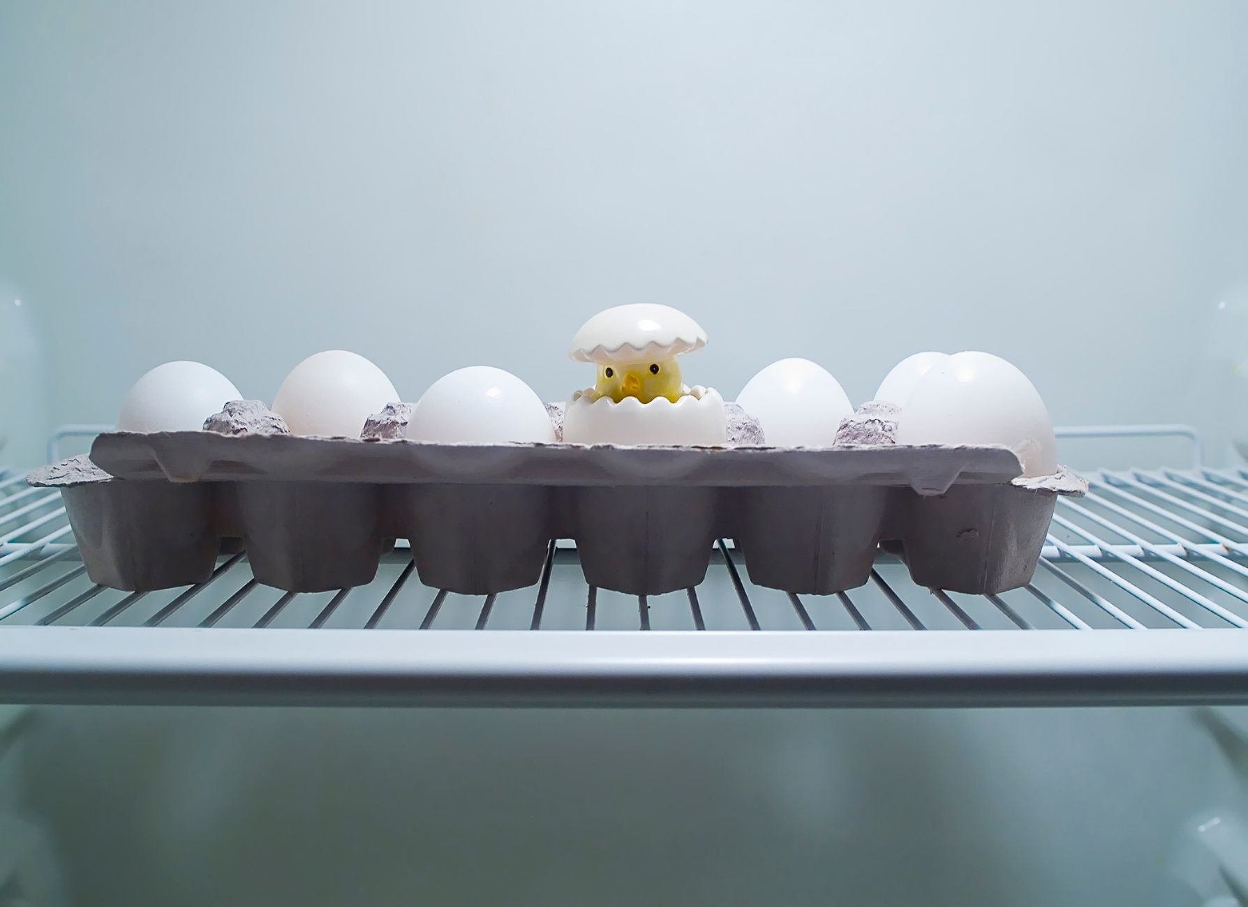 Proper egg storage for baby foods