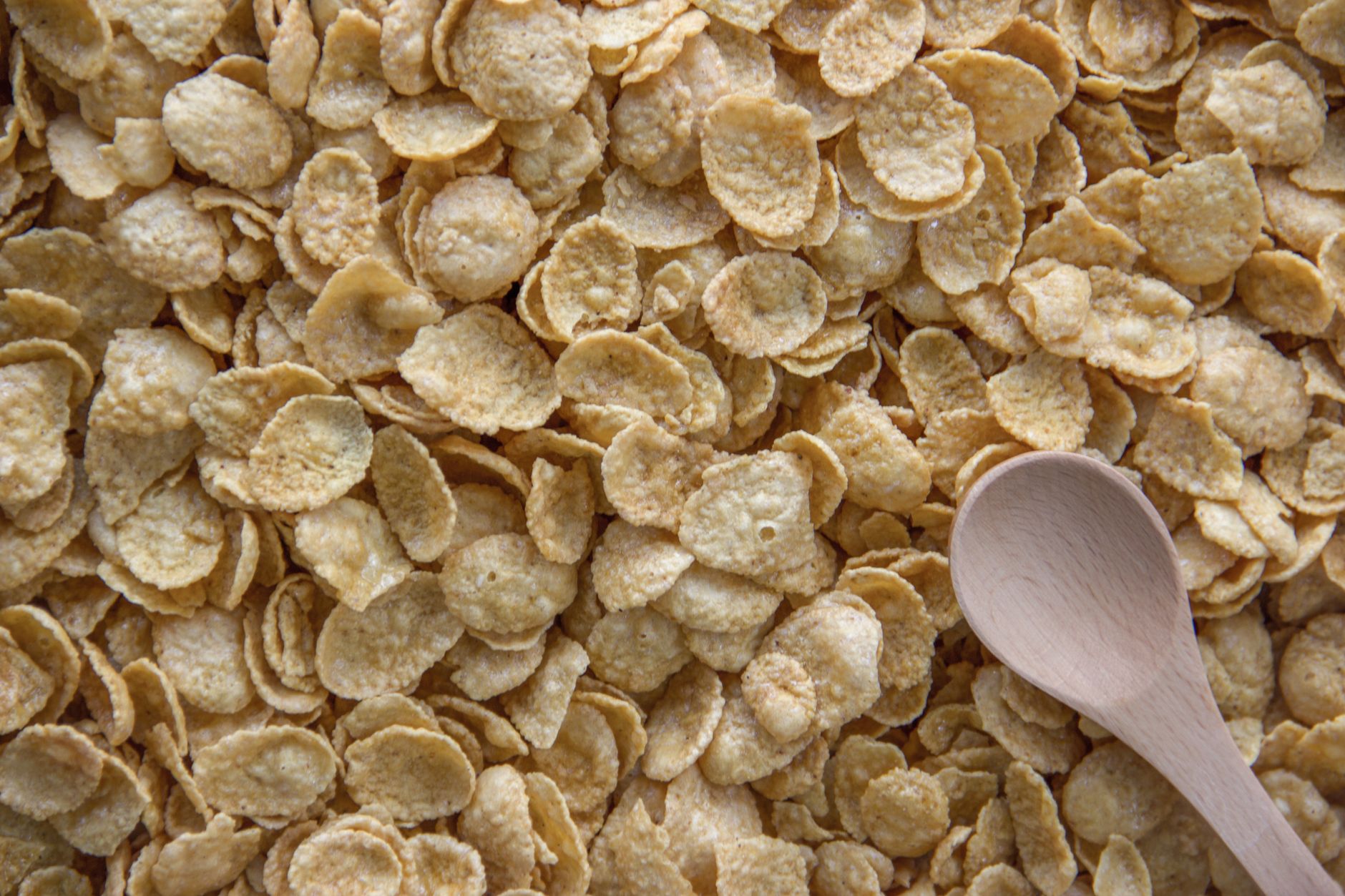 When to Introduce Wheat to Your Baby: A Safe Timeline