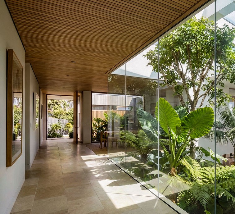 Vertical shot of a sunlit limestone hallway running alongside a glass-encased internal garden featuring a tree and lush ferns.