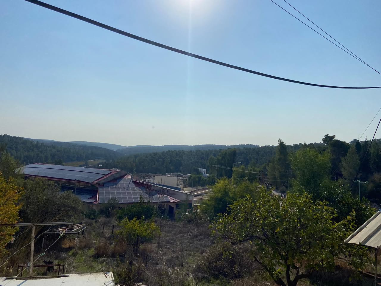 נכס בשריגים — תמונה 4