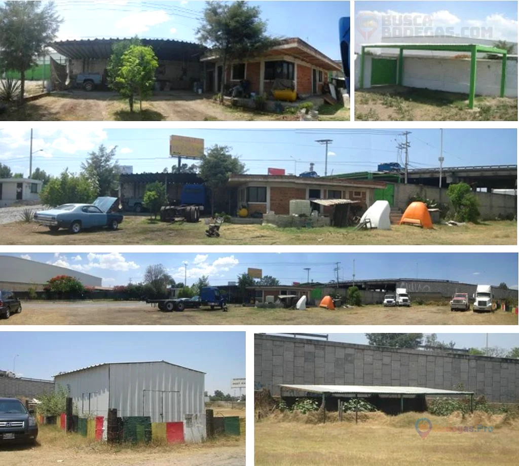 Miniatura 6