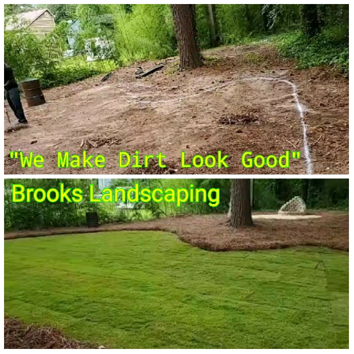 Before and After Sod Installation 