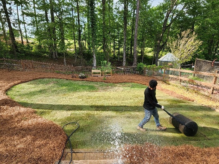 Sod Installation 