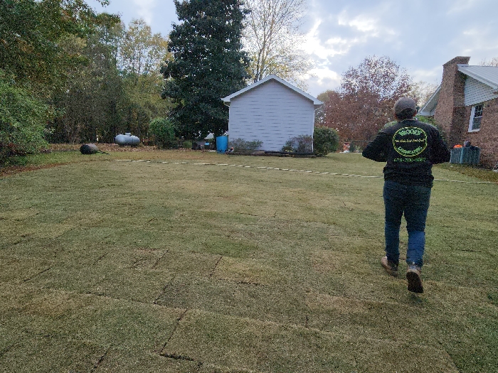 Before and After Photos 