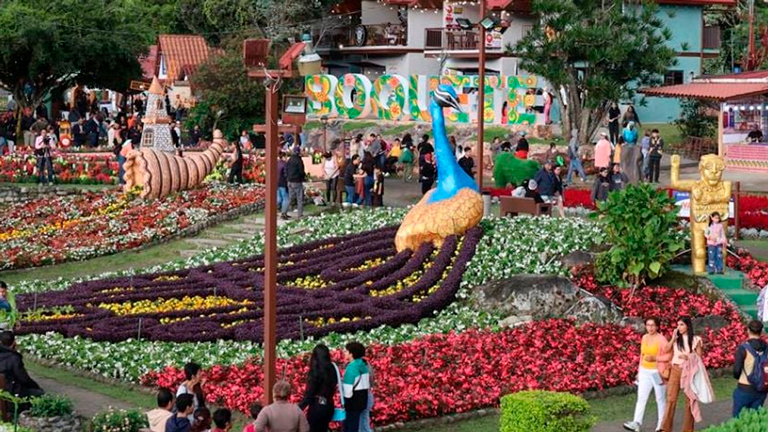 Expo Boquete 2026 will boost tourism and business in Chiriquí