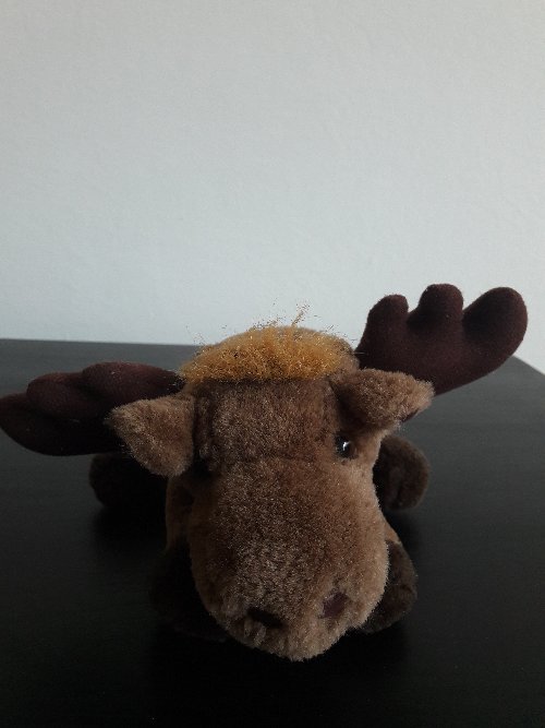 Moose doll to sell