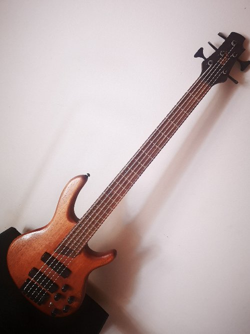 Cort Bass guitar