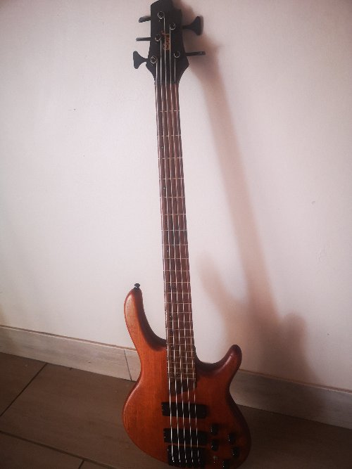 Cort Bass guitar