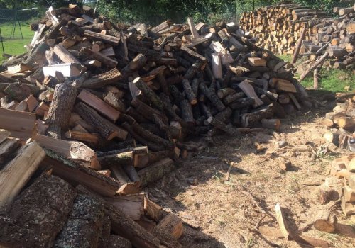Bois de chauffage disponible pour passer un bon hiver