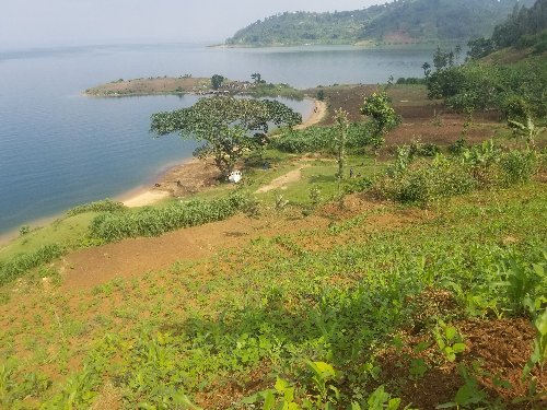 land for sale near lake kivu in Rwanda most welcome