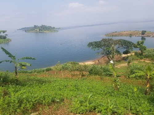 land for sale near lake kivu in Rwanda most welcome