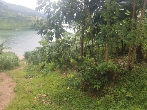 land for sale near lake kivu in Rwanda for more