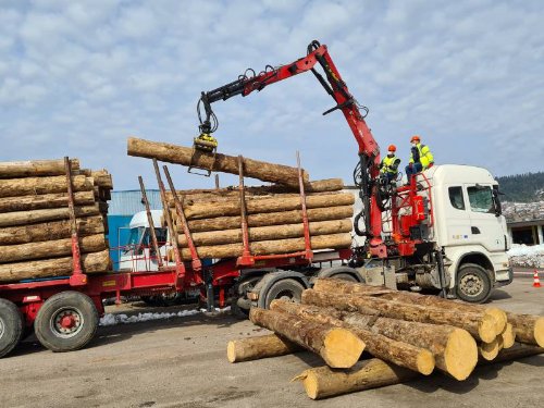 Vente et commercialisation des bois rond en gros et en