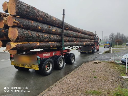 Vente et commercialisation des bois rond en gros et en
