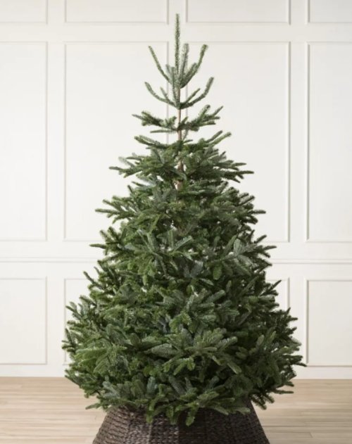 C'est bientôt Noël. Plus de soucis à vous faire en