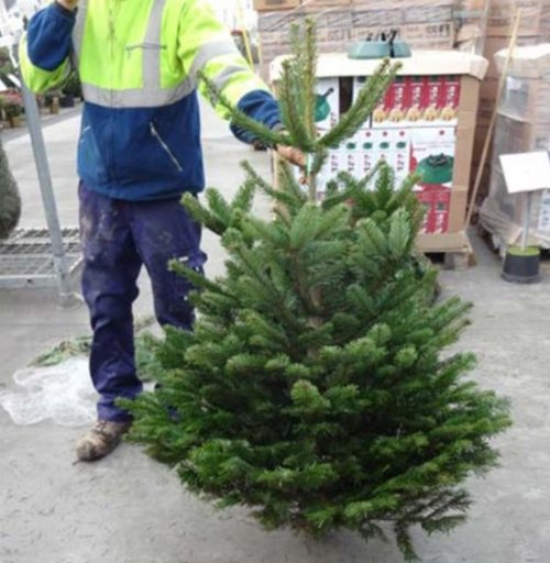 C'est bientôt Noël. Plus de soucis à vous faire en