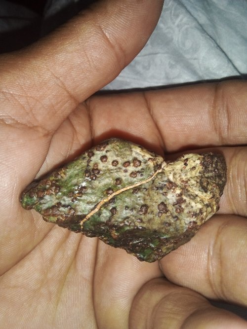 Martian meteorite..38 grams