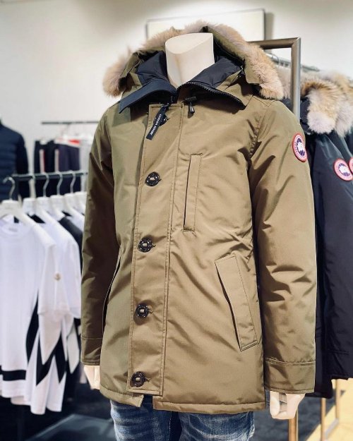 Canada goose available