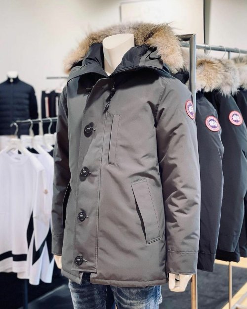 Canada goose available