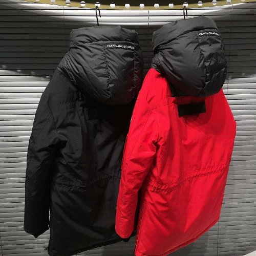 Canada goose available