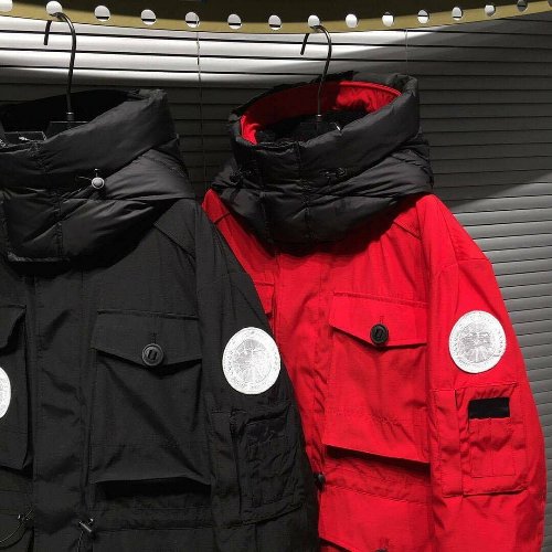 Canada goose available