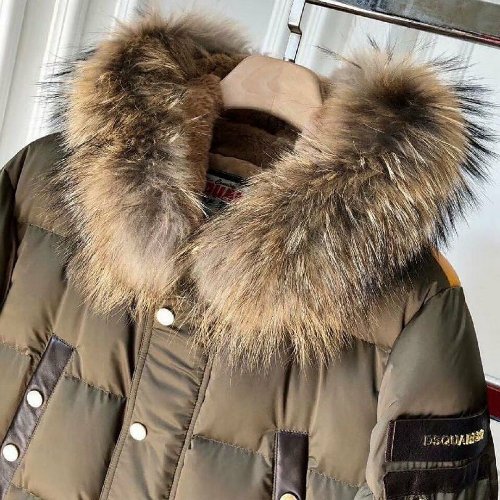 Canada goose available