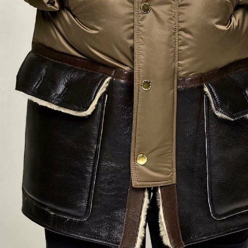 Canada goose available