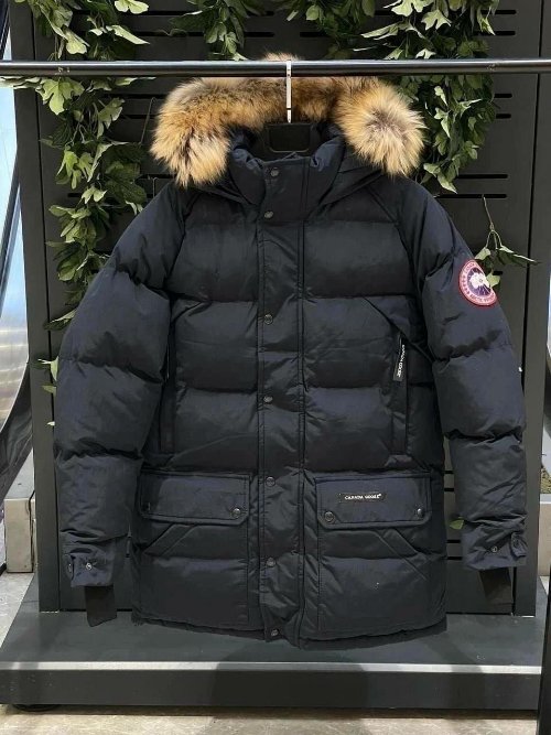 Canada goose available