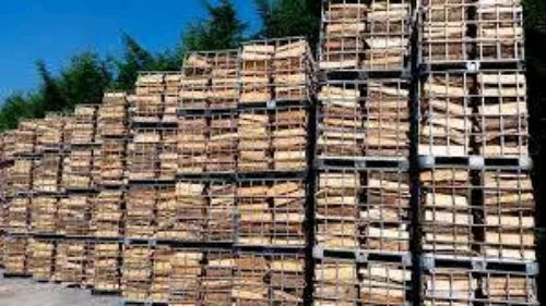 WhatsApp +4915510380903 Hallo wir verkaufen unsere Kubikmeter erstklassiges Brennholz 100%