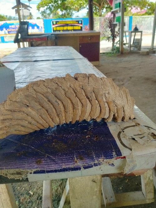 Di jual yg minat hubungi 082285685604