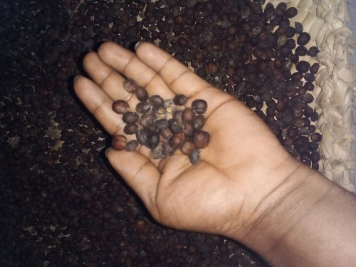 100% fresh high quality coffee that does not contain any