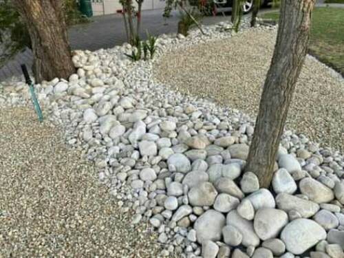 To beautify and decorate your garden with us. We supply;