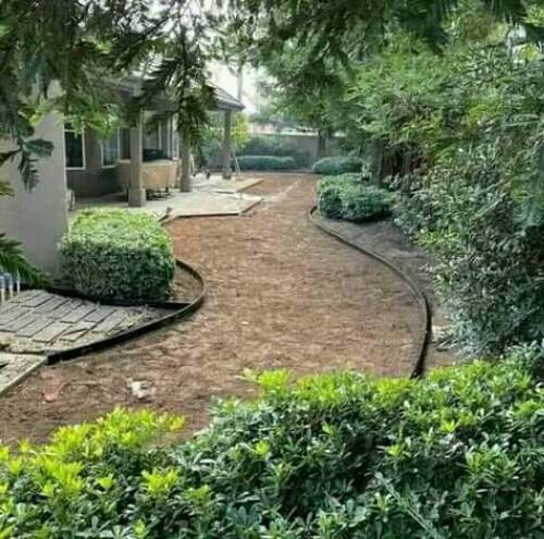 To beautify and decorate your garden with us. We supply;