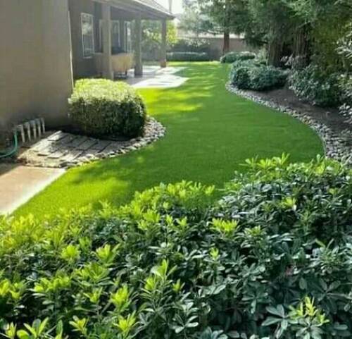 To beautify and decorate your garden with us. We supply;