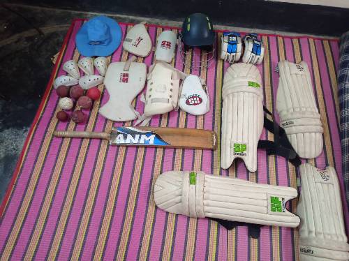 Cricket instrument