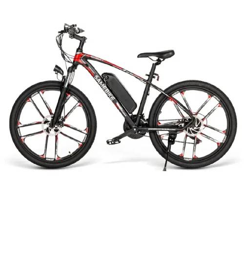 Bici elettrica 30 km/ora