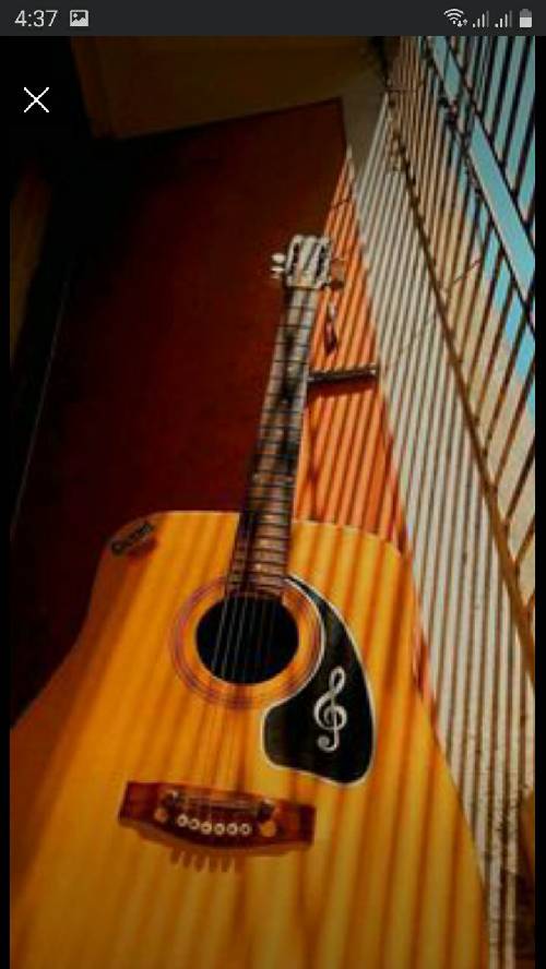 No need to service. Standerd acoustic guiter.Standerd quality, used for